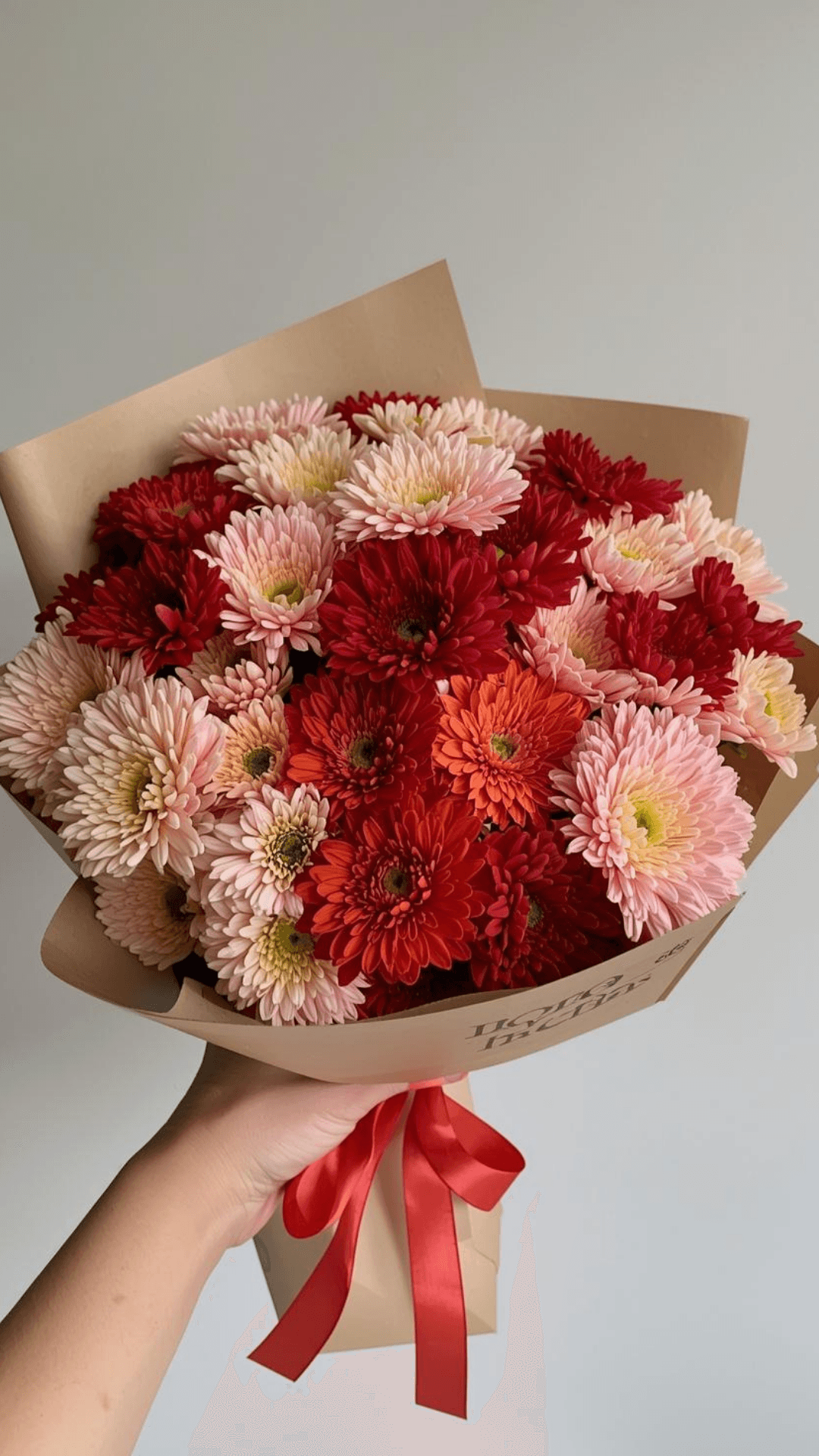 Gerbera Bahçesi - 1